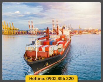 PVI Marine Insurance - Bảo hiểm hàng hải PVI